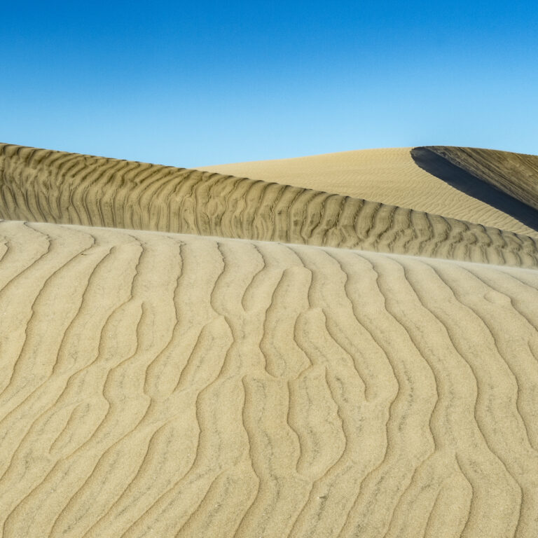 Sand dunes at Isla Magdalena Baja California Mexico.
